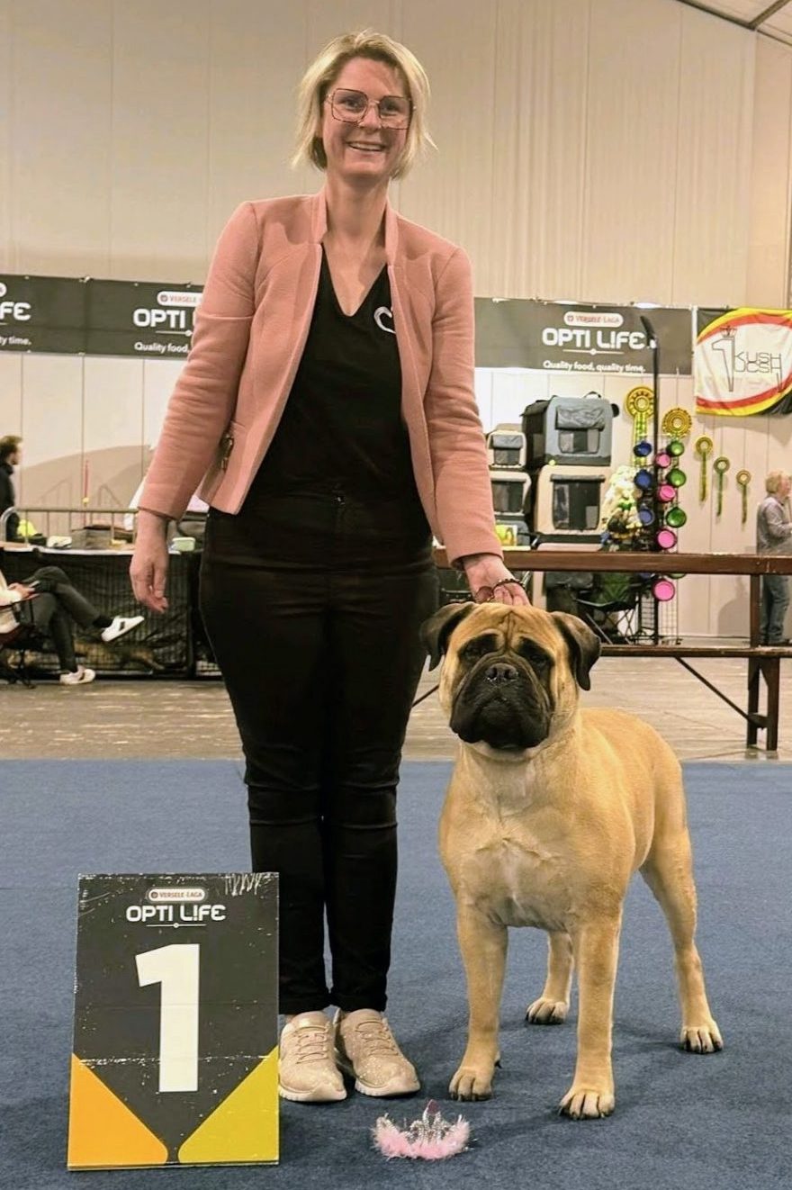 Top Dog 2025