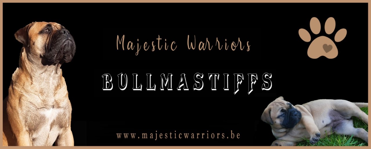 Majestic warriors